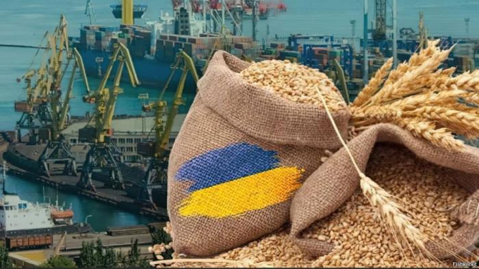 «Зерно из Украины», или Нужен ли украинский опыт Африке? «Зерно из Украины», или Нужен ли украинский опыт Африке?