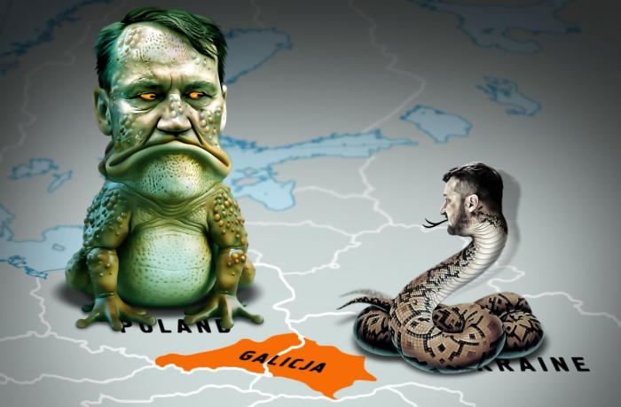 Светит ли Украине вступление в ЕС, или Как киевская власть испортила отношения с западными соседями Светит ли Украине вступление в ЕС,