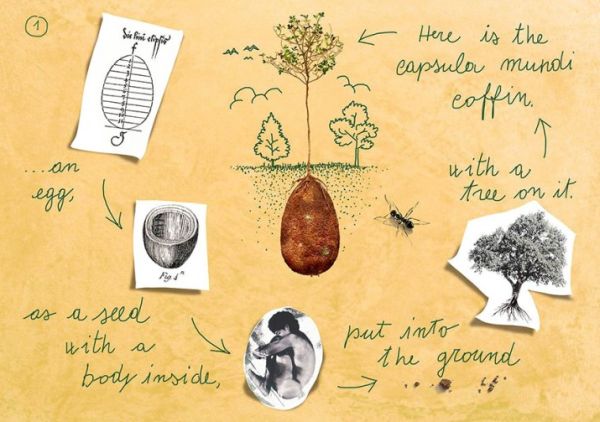 Проект под названием Capsula Mundi – органическая капсула для захоронения, превращающая тело усопшего в питательные вещества для дерева