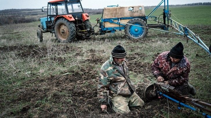 Украинские аграрии. Фотография портала «Новости Украины»