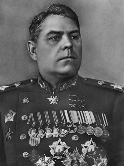 Александр Василевский