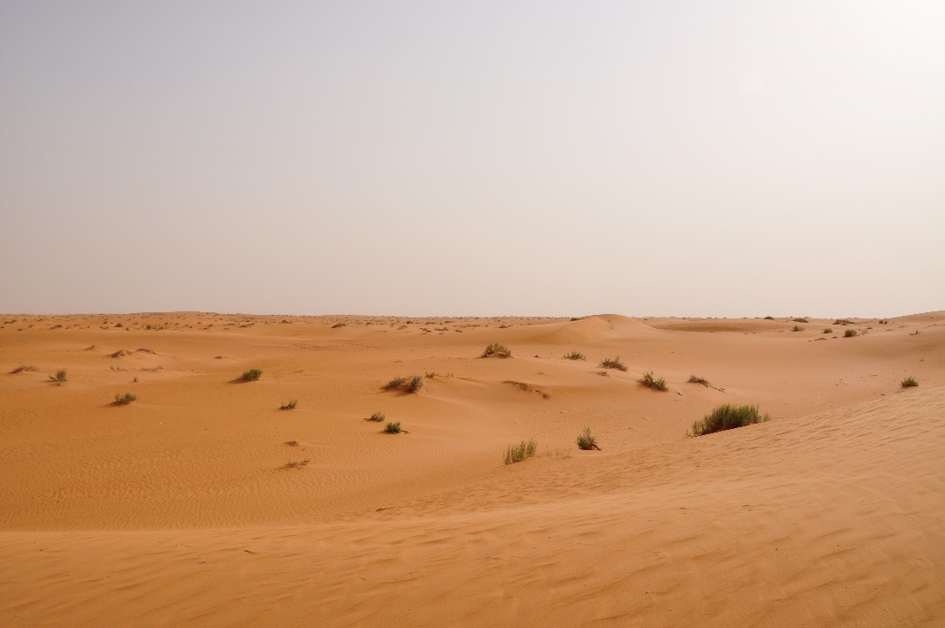 Пустыня в иракской провинции Анбар