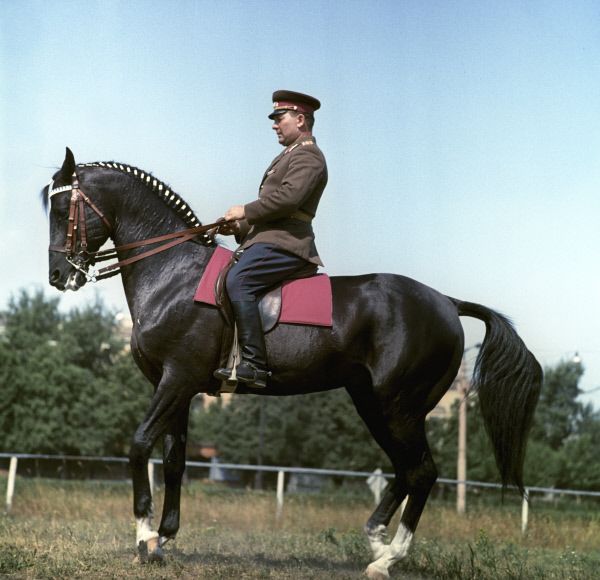 Олимпийский чемпион по конной выездке Сергей Филатов и Абсент, 1964 г.