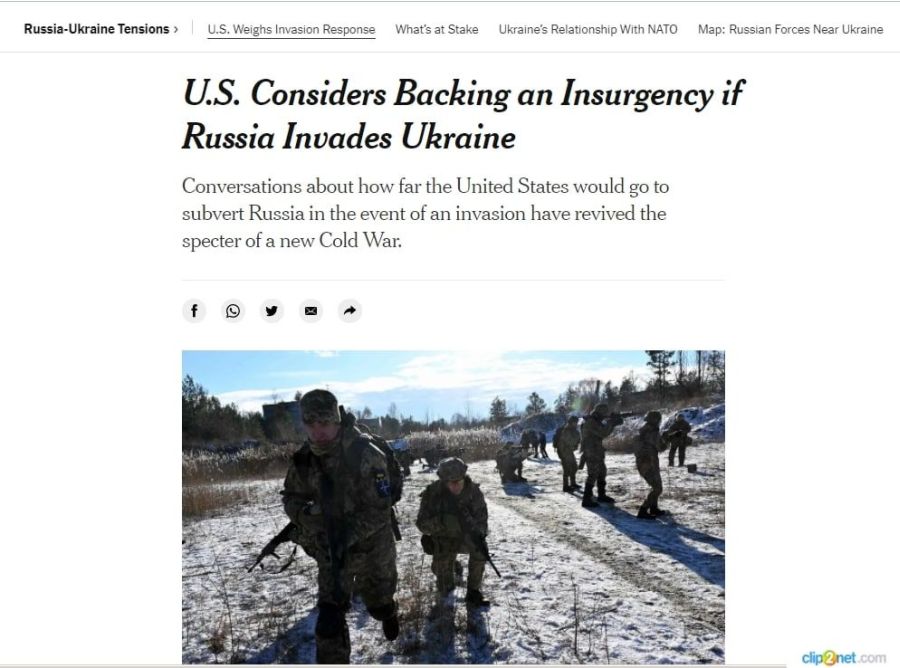 NYT: США готовы вооружить банды на Украине