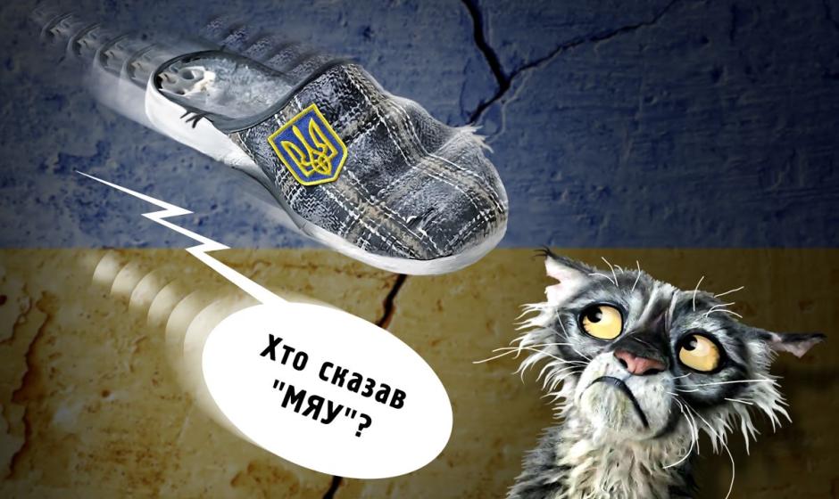 Кто сказал «мяу»?, или Львовских котов заставляют «нявкать»