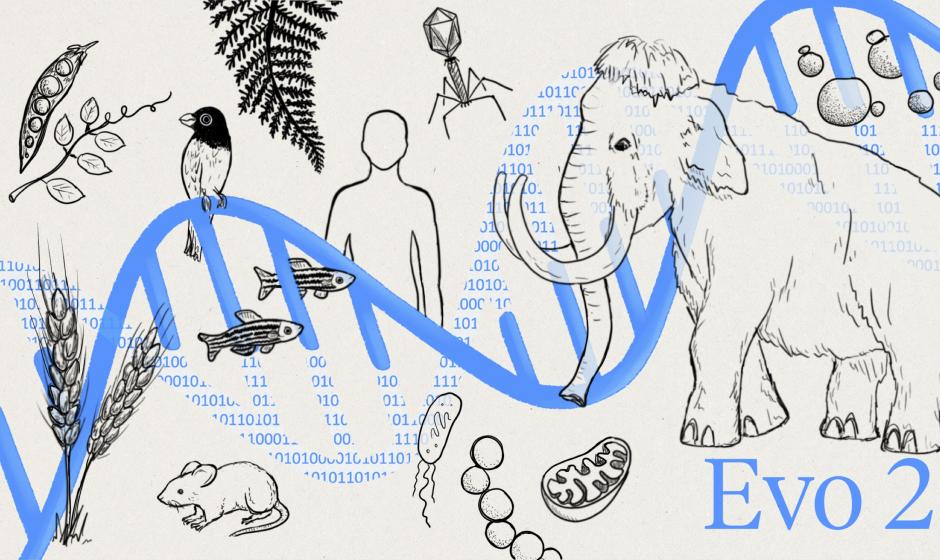 В США набирают кадры для разработки биологического оружия с помощью ИИ