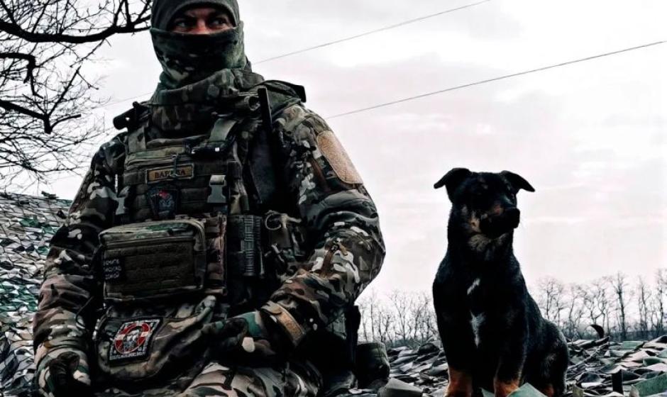 в зоне проведения СВО