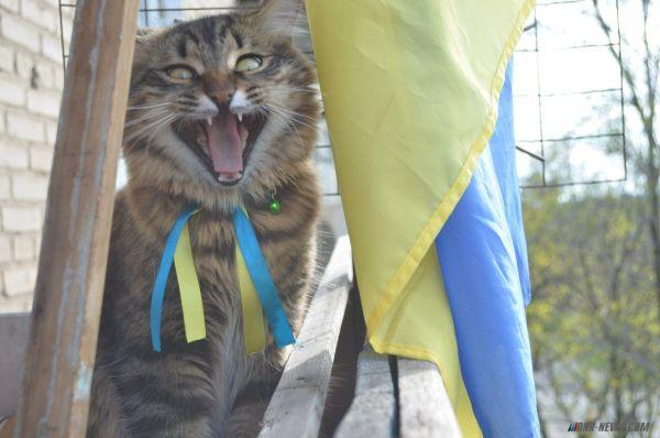 Налог на животных. Украинские партиотические кошки.