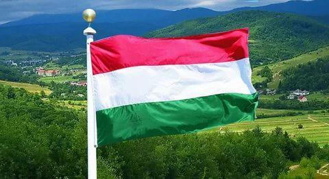 В Венгрии появится уполномоченный по делам Закарпатья