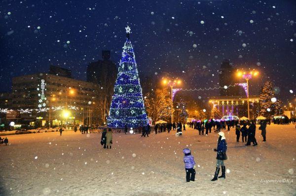 Новогоднее перемирие. Фото: Евгения Карпачева, Донецк