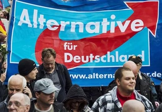 Демонстрация сторонников партии «Альтернатива для Германии»