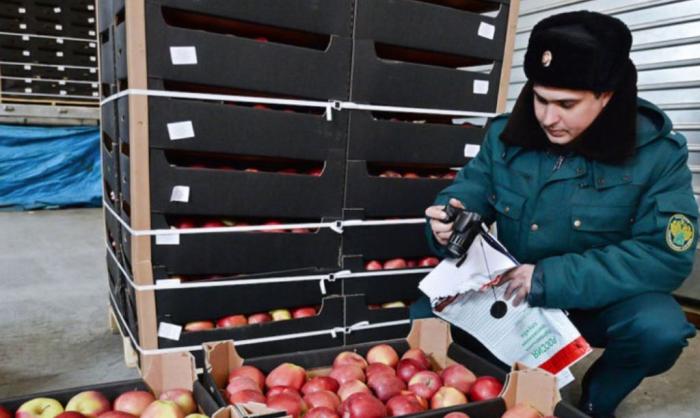 Специалисты Россельхознадзора проверяют сомнительные белорусские яблоки