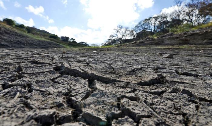 Засуха в Центральной Америке принимает экстремальные формы