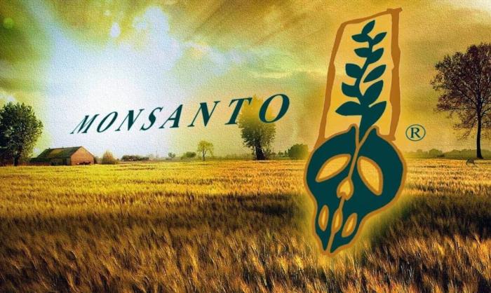 Monsanto на Украине