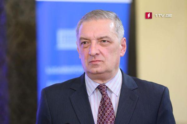 Первый вице-спикер парламента Грузии Гия Вольский