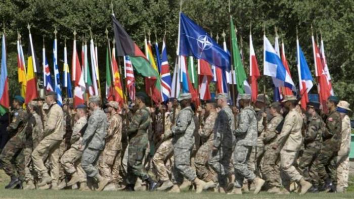 Доверие к НАТО в Европе резко падает
