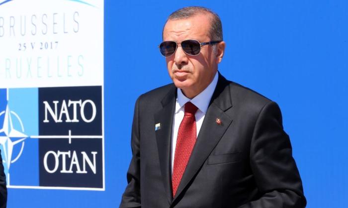 Эрдоган и НАТО