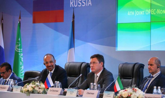 Министр энергетики РФ Александр Новак на сессии ОПЕК в Вене