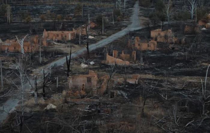 ЕС пообещал помочь Украине справиться с пожарами