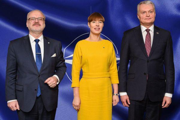 Президенты стран Балтии против Дня Победы