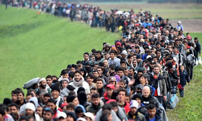Миграция в страны Европы питает терроризм