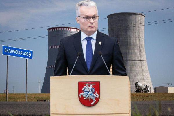 Президент Литвы: «БелАЭС – это наша общая ошибка»