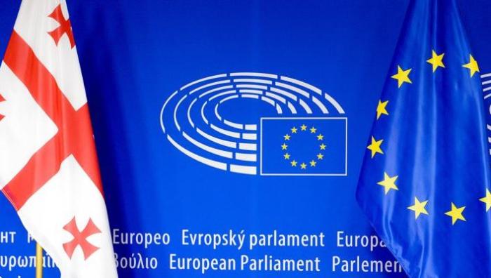 Европарламент принял очередной доклад по Грузии