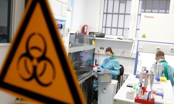 Как далёкий от медицины Всемирный банк опередил ВОЗ с «глобальной пандемией»