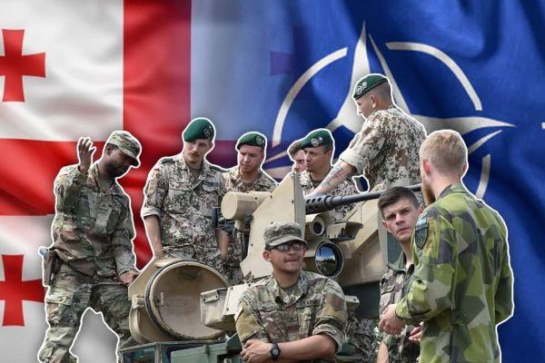 Грузинские эксперты и экс-политики зовут НАТО в Грузию
