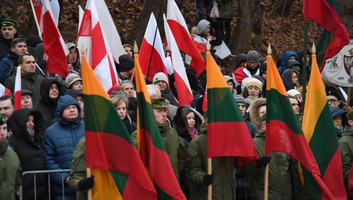 Поляки в Литве