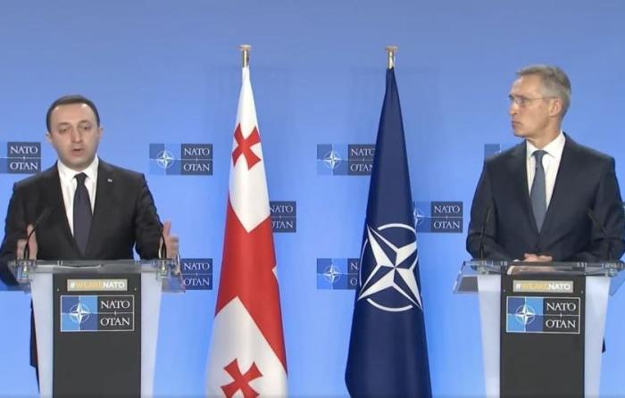 Совместный брифинг премьер-министра Грузии Ираклия Гарибашвили и генерального секретаря НАТО Йенса Столтенберга