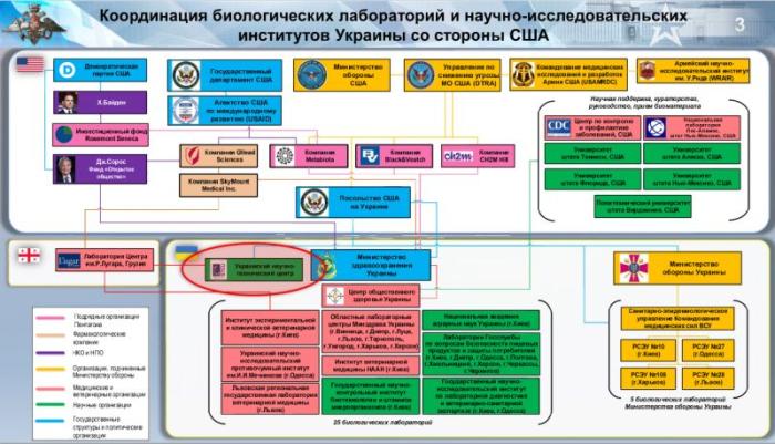 МО РФ представило дополнительную информацию о деятельности США на Украине по разработке биологического оружия