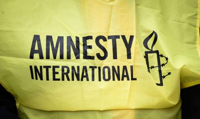 Как Amnesty International выступила… «рупором пропаганды путинского режима»