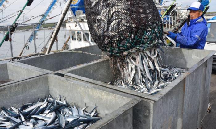 Санкции санкциями, а русской рыбки японцам хочется