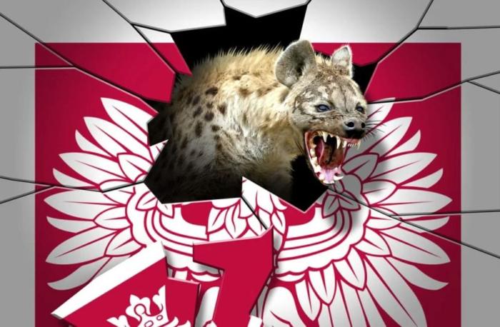 NDP: Правящая партия Польши намеренно ухудшает отношения с Германией