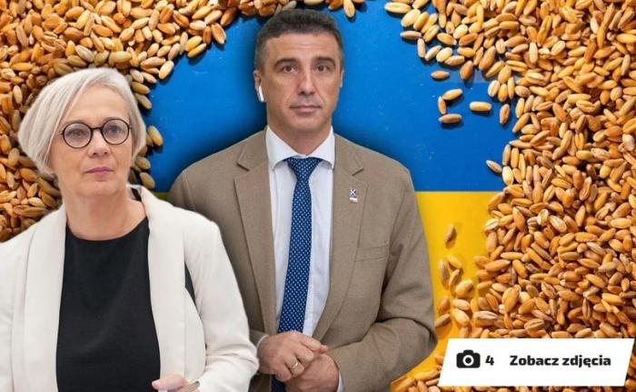 В Польше из-за украинского зерна предлагают пустить своё на топливо