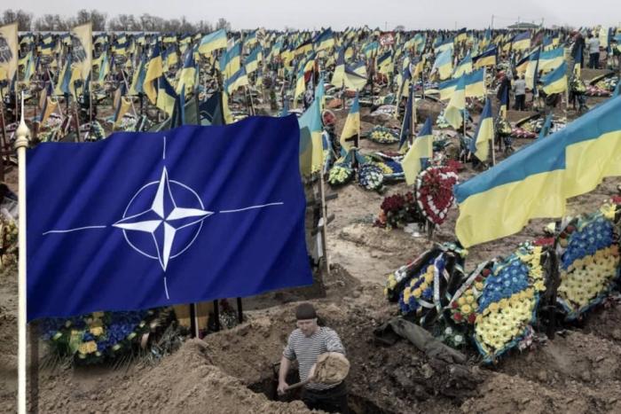 American Thinker: Войны хотели все – кроме России