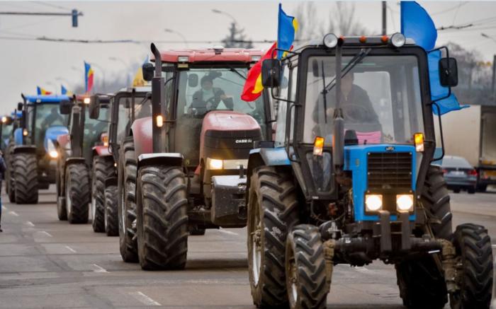 Молдавские фермеры: Украина убивает сельское хозяйство Молдовы 