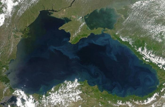 Responsible Statecraft: США воюют Украиной с Россией за Черноморский регион