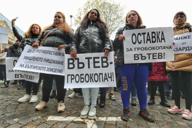 В Болгарии протестуют против транзита украинской сельхозпродукции