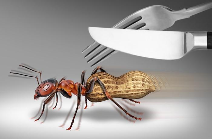 В Америке предлагают пустить муравьёв на чипсы