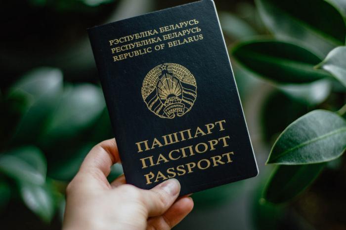 В Литве собрались печатать альтернативные белорусские паспорта