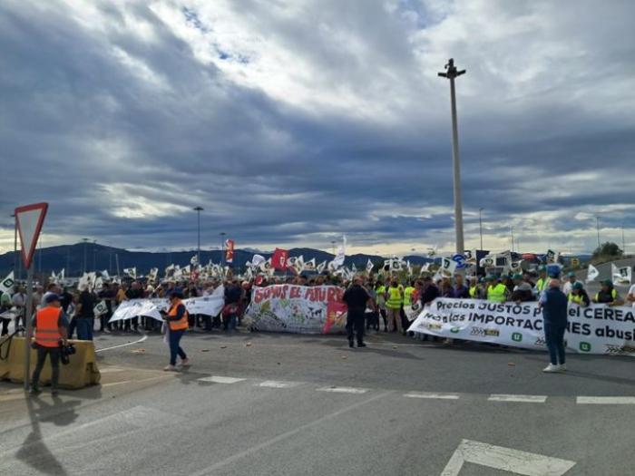 Испанские фермеры протестуют против ввоза украинского зерна