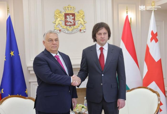 Брюссель запретил Орбану говорить в Грузии от имени ЕС