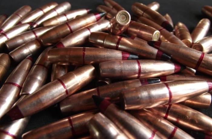 Польша тайком поставляла Украине швейцарские патроны