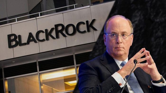 BlackRock: мега-корпорация захватывает страны «золотого миллиарда»