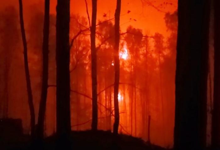 В зоне проведения СВО, источник – Телеграм-канал Уголок Ситха