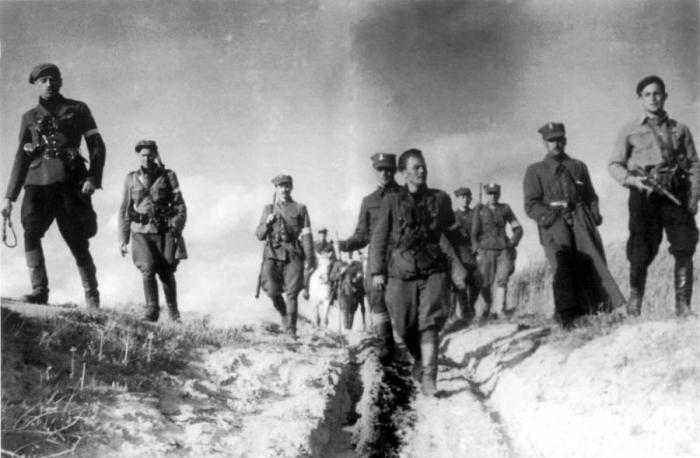 Польский институт национальной памяти проводит конкурс, посвящённый боевикам антисоветского подполья 1944-1956 гг. 