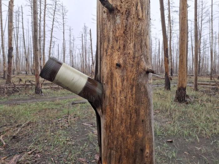 в зоне проведения СВО, источник Телеграм-канал Тристатридцатьтри