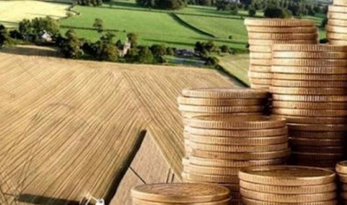 На Украине с 16 января иностранным гражданам разрешается скупать земли сельхозназначения 